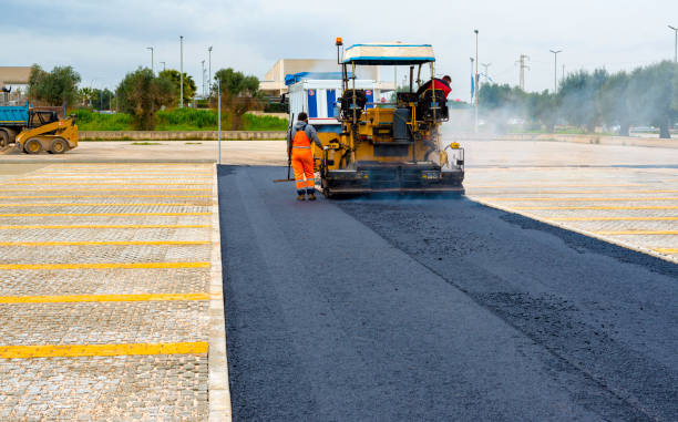 Best Driveway Stamping and Staining in Ludowici, GA