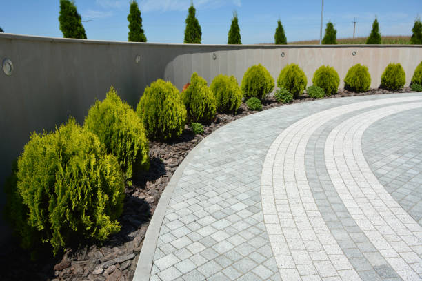 Best Eco-Friendly Driveway Paving in Ludowici, GA