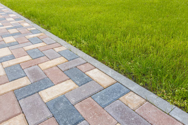 Best Residential Driveway Paving in Ludowici, GA